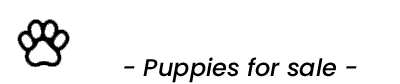 Ngina Spot – nginaspot.com